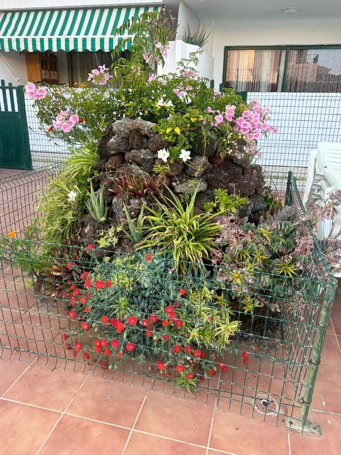 Maspalomas San Bartolomé Kültér fotó